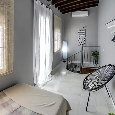 Apartament Espectacular Atico Con Terraza En Triana Sewilla