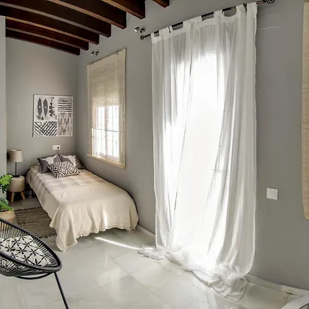 Apartament Espectacular Atico Con Terraza En Triana Sewilla